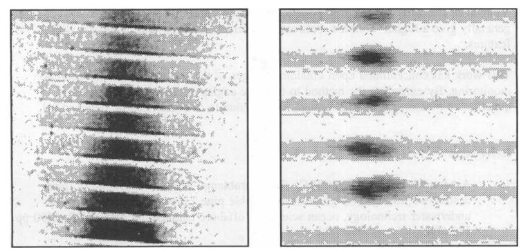 شکل 3: تصویر پس‌پراکنش فراصوتی از تنۀ فرسوده شدۀ COFLEXIP. شکل 4: تصویر پس‌پراکنش فراصوتی از سوراخ‌های روی آستر PAGOFLEX.